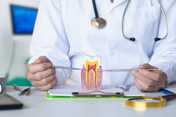 Best After-Hours Dental Trauma Care in College Park, MD